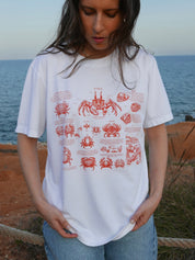 Crabs ®