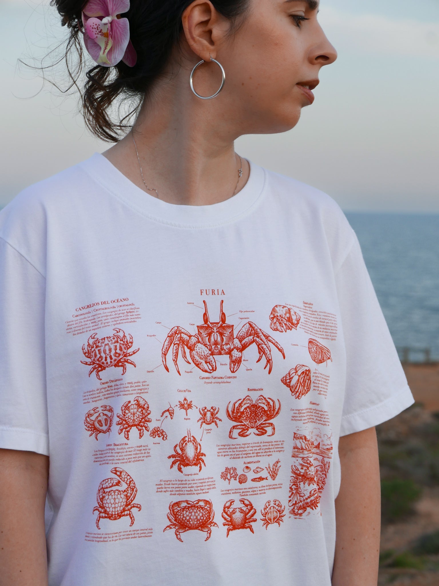 Crabs ®