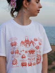 Crabs ®