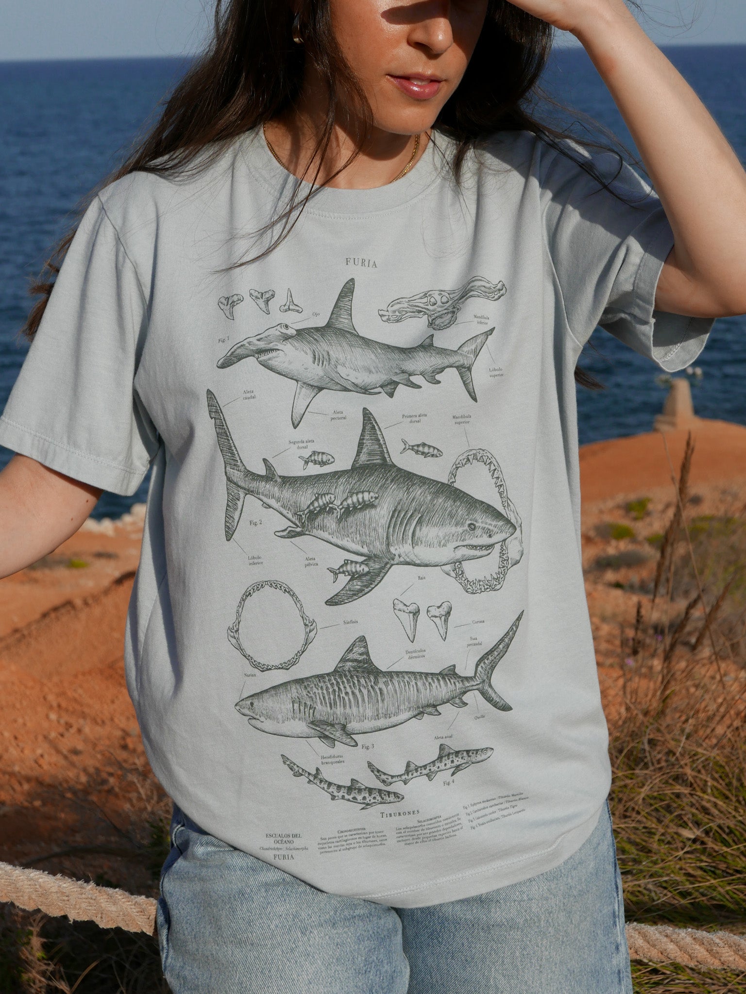 Tiburones ® (Disponible 2 de Noviembre)