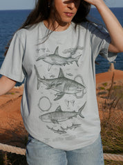 Tiburones ® (Disponible 2 de Noviembre)