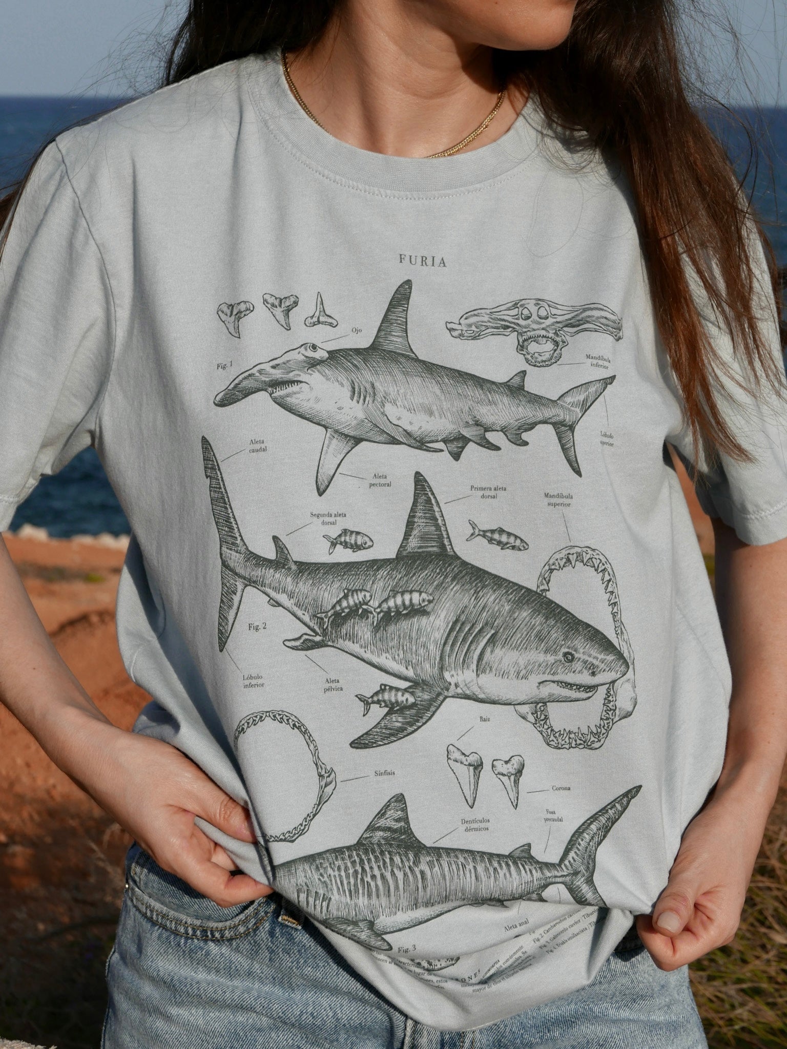 Tiburones ® (Disponible 2 de Noviembre)