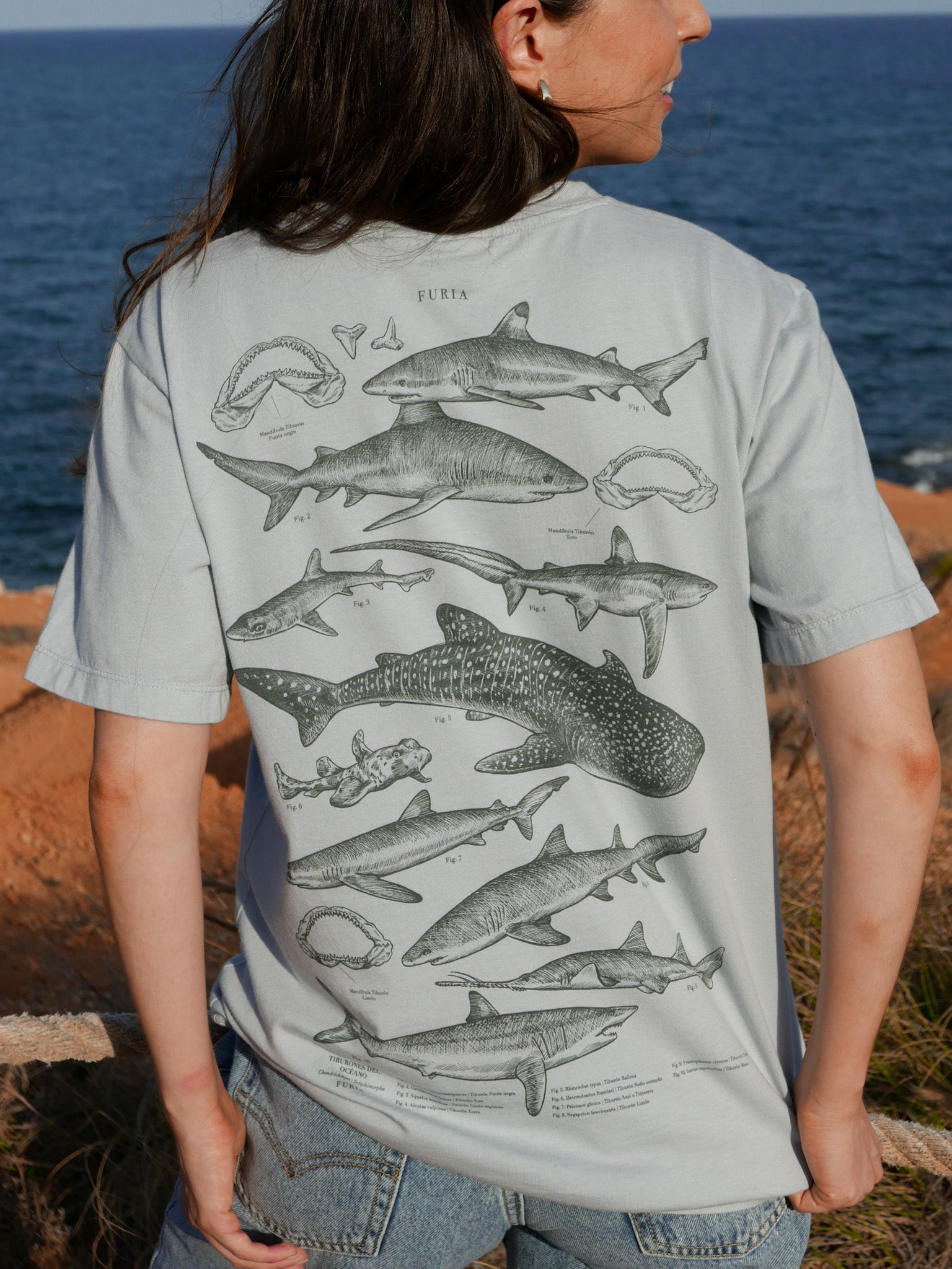 Tiburones ® (Disponible 2 de Noviembre)
