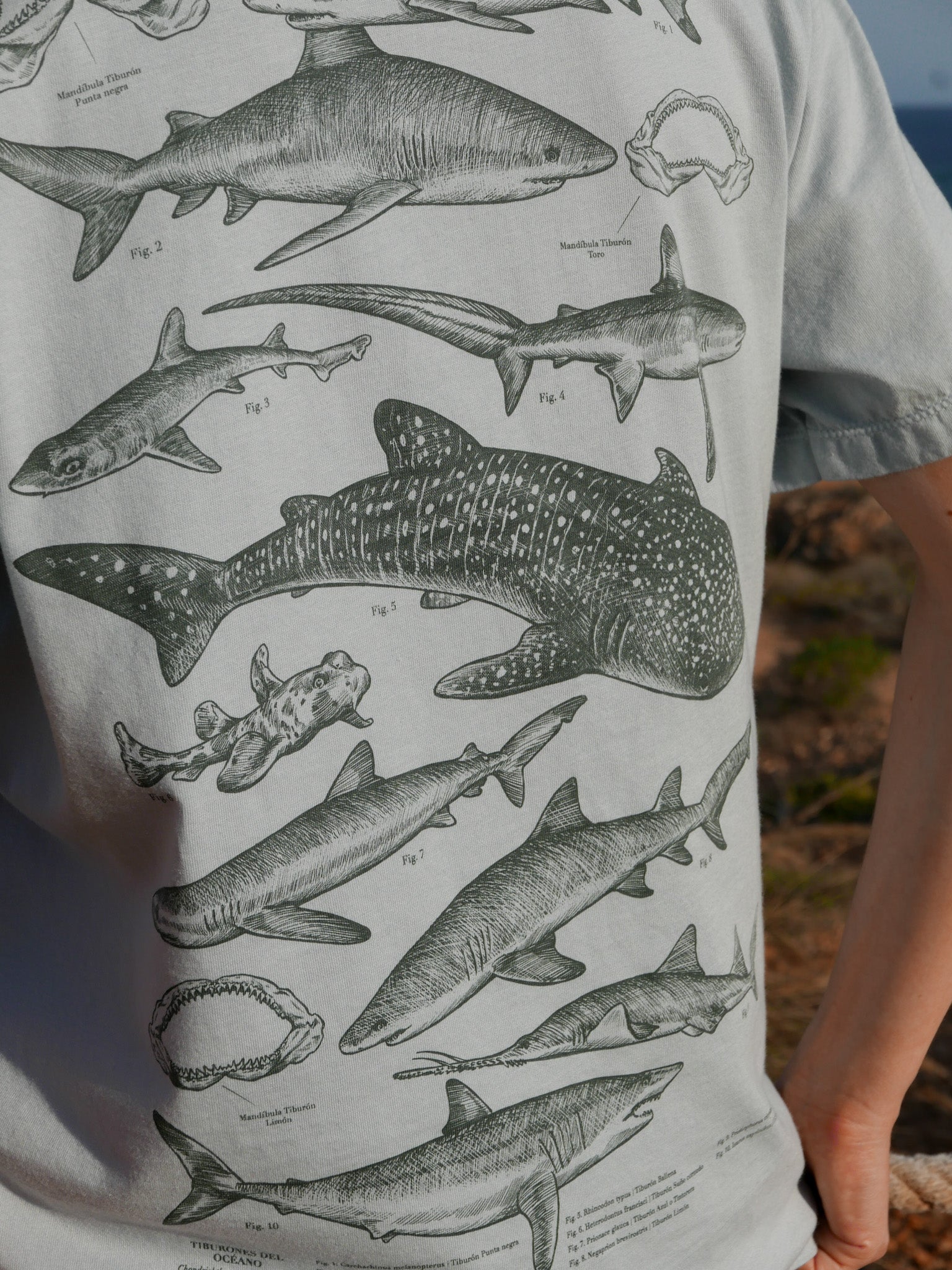 Tiburones ® (Disponible 2 de Noviembre)