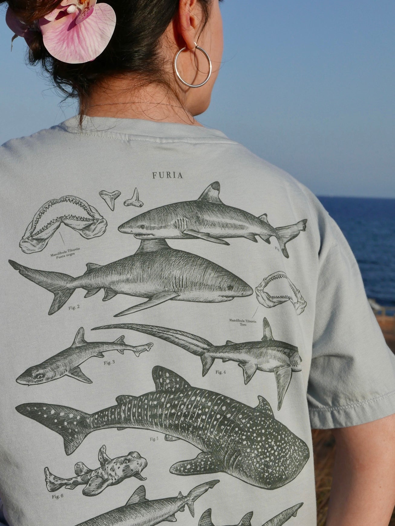 Tiburones ® (Disponible 2 de Noviembre)