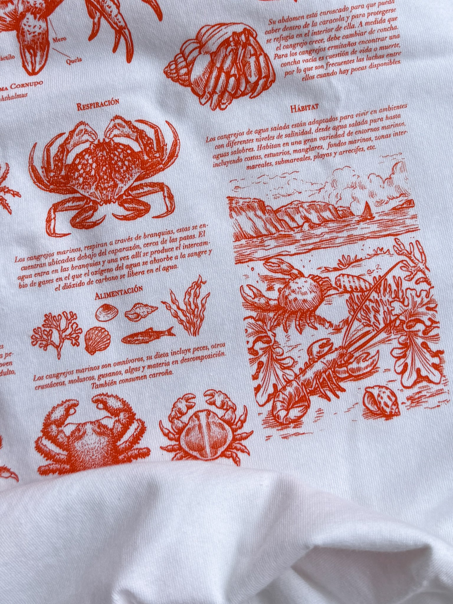Crabs ®