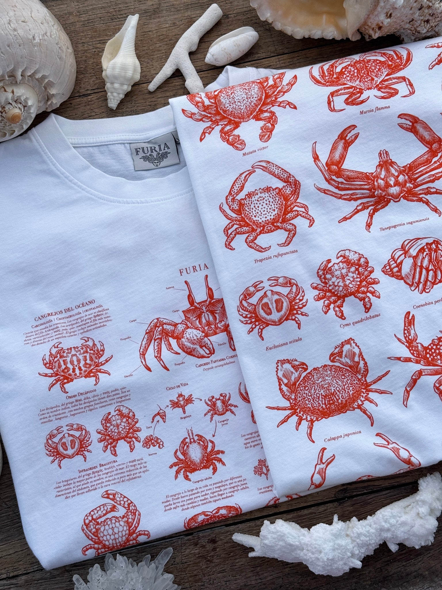 Crabs ®