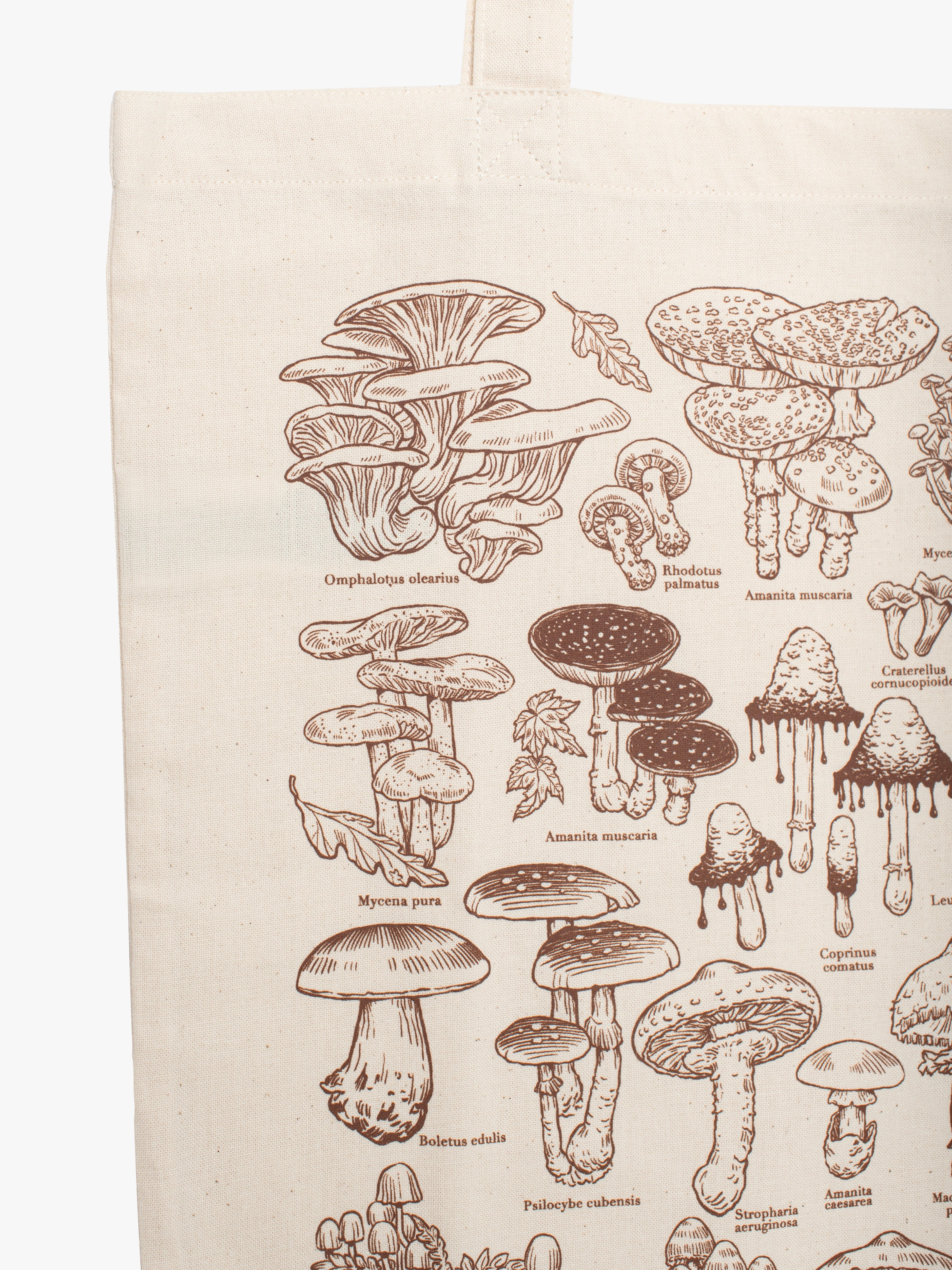 Tote mushrooms + Print ®