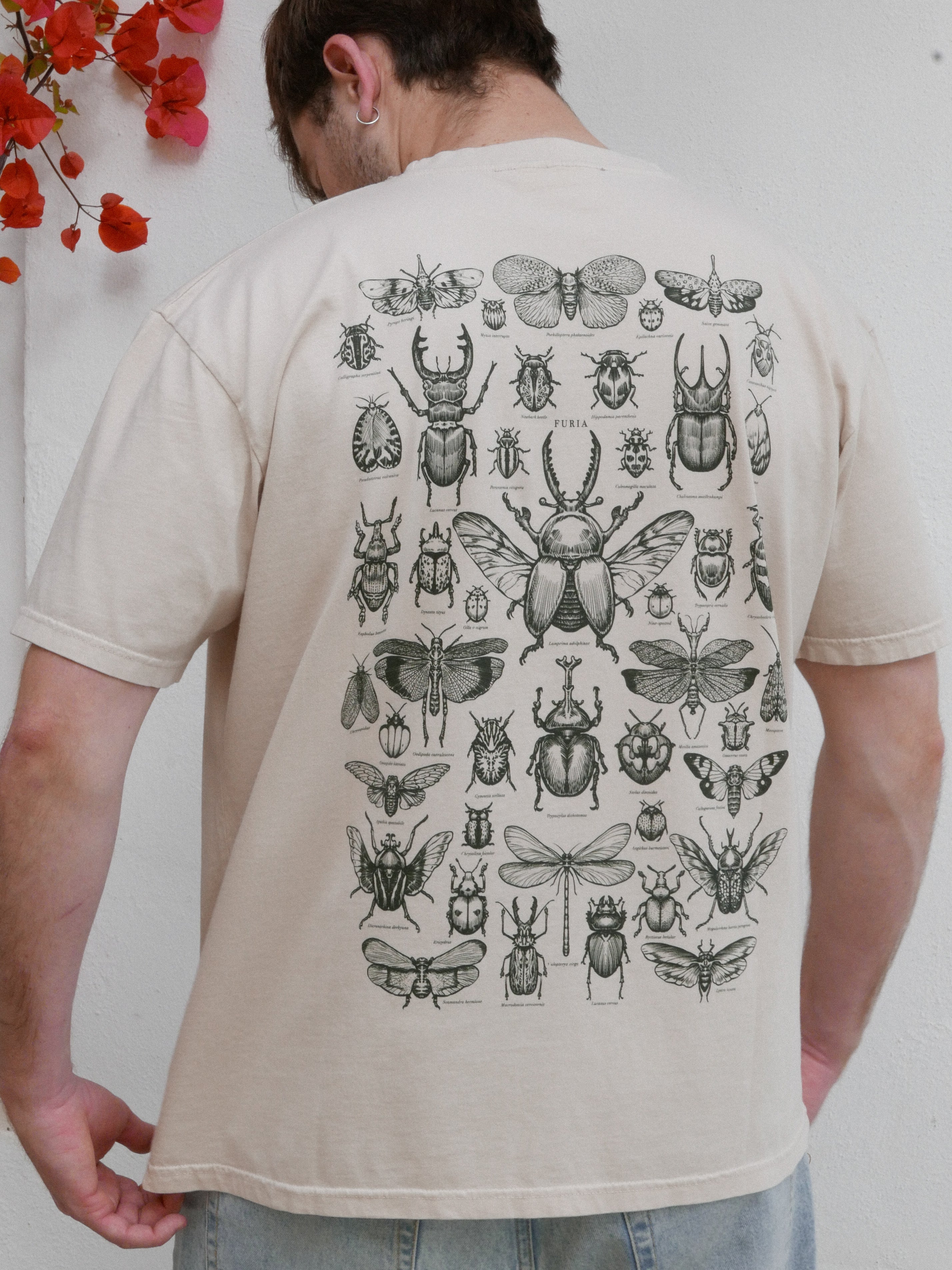 Entomología ® (Disponible 11/05)