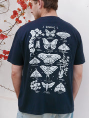Mariposas nocturnas ® (Disponible 11/05)