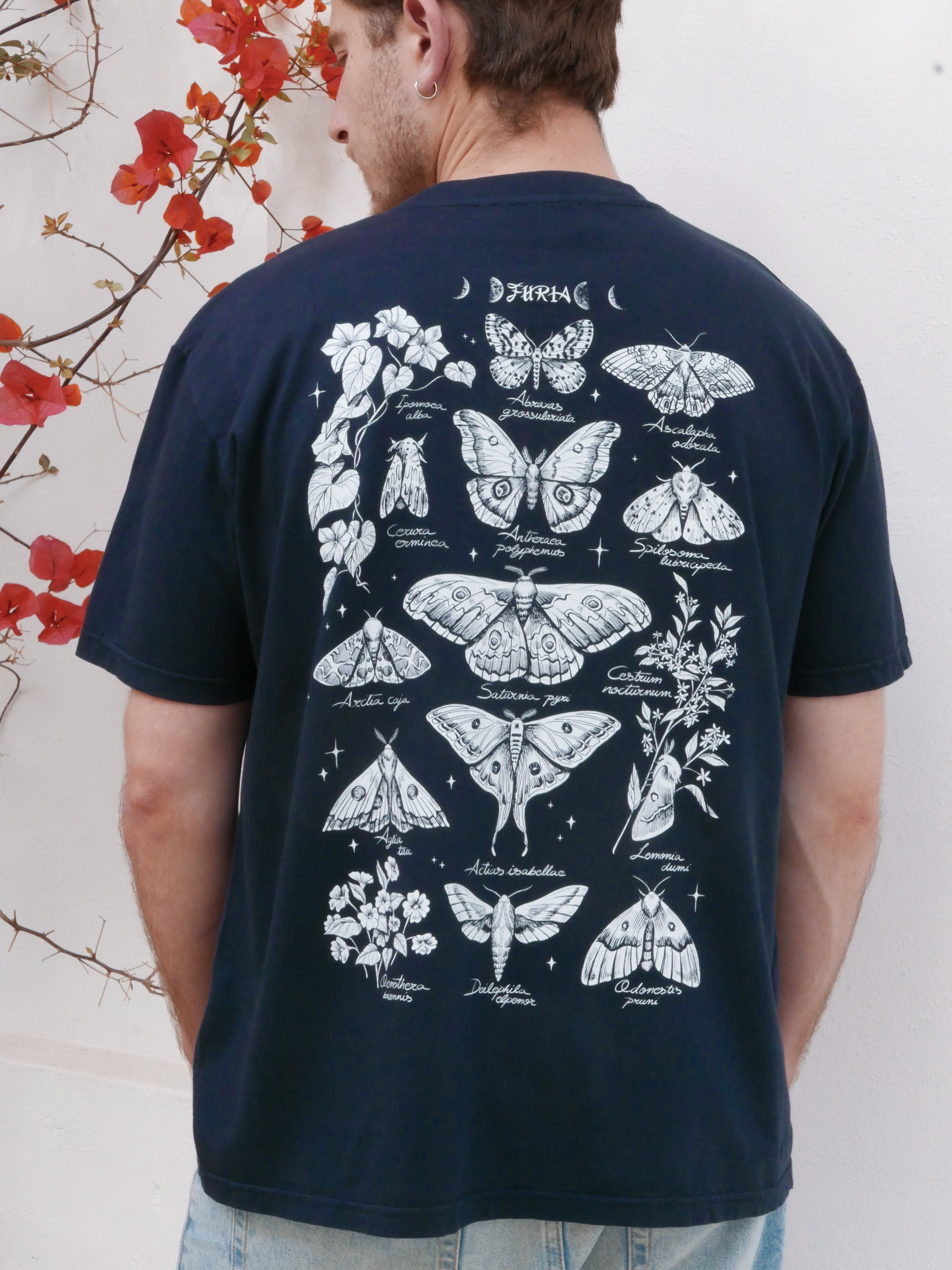 Mariposas nocturnas ® (Disponible 11/05)