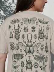 Entomología ® (Disponible 11/05)