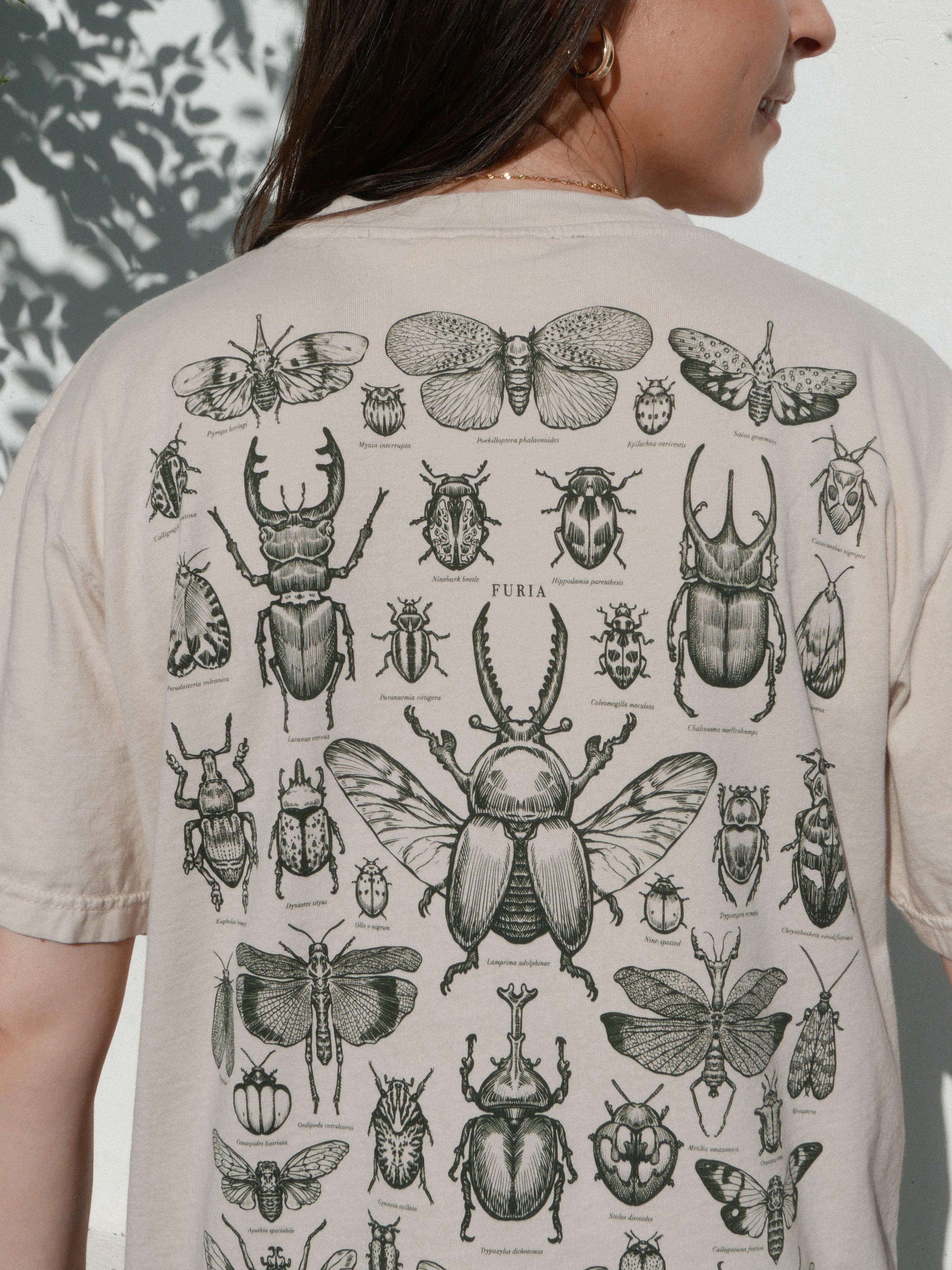 Entomología ® (Disponible 11/05)