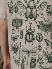 Entomología ® (Disponible 11/05)