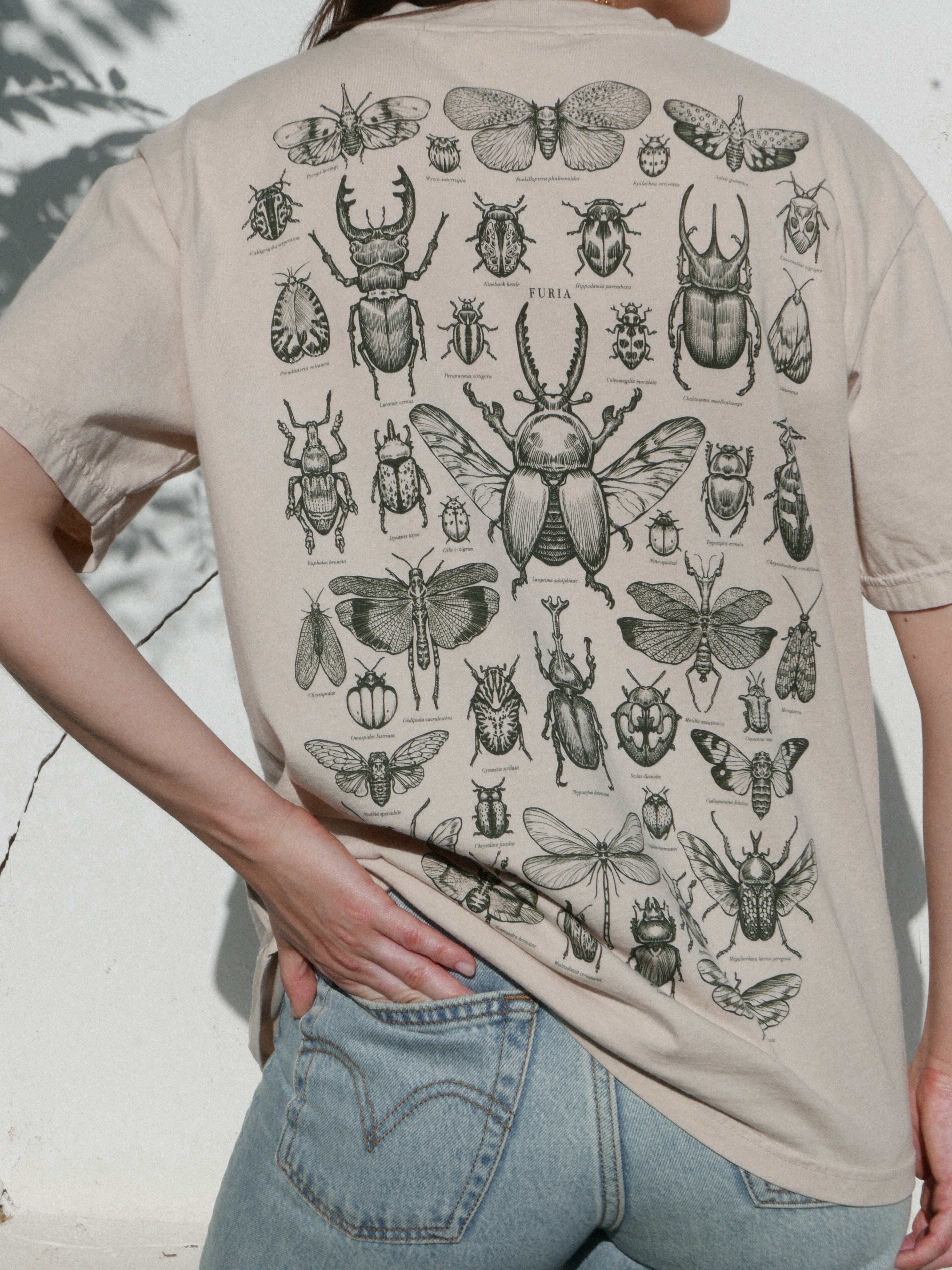 Entomología ® (Disponible 11/05)
