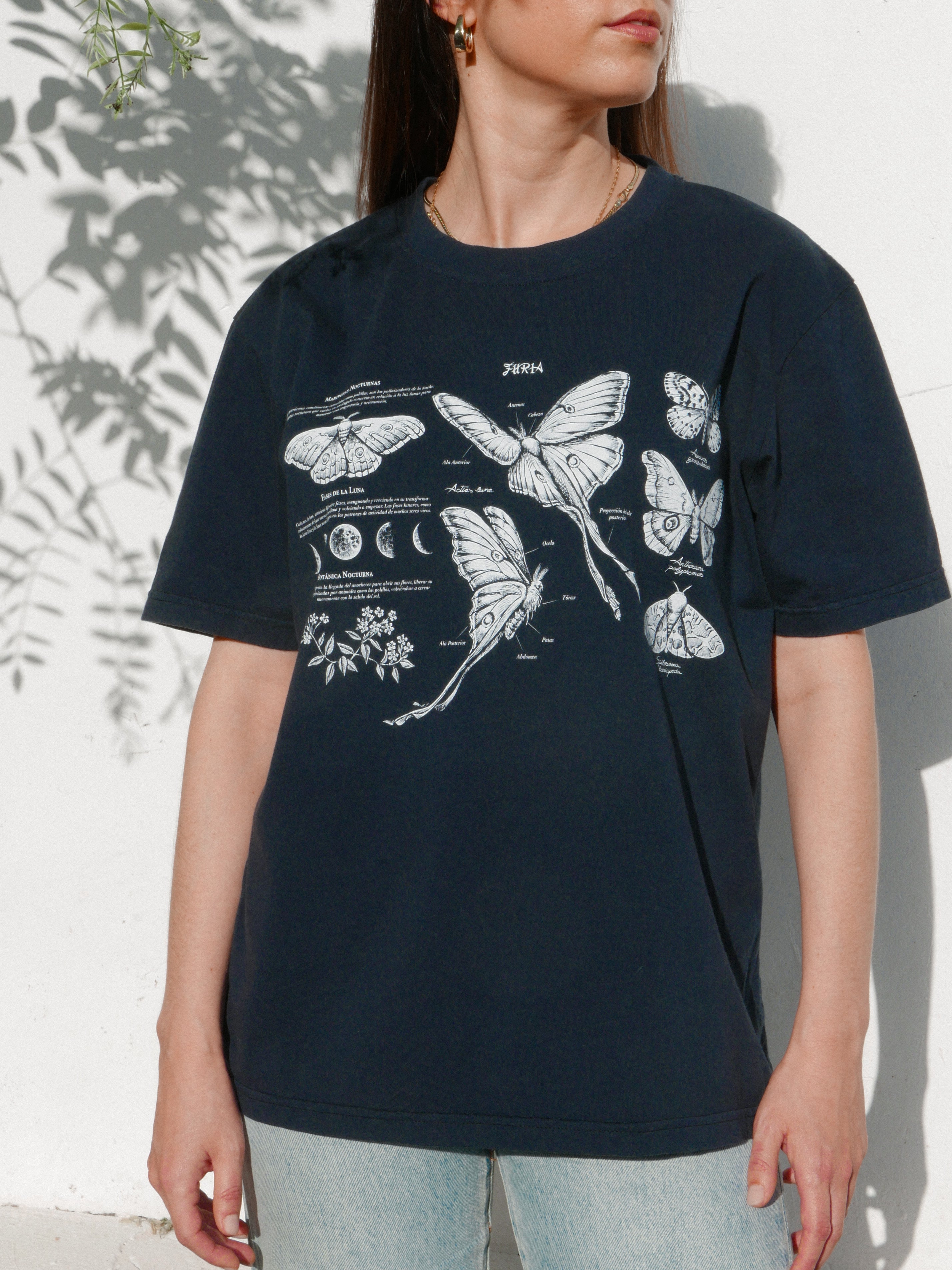 Night butterflies ® (Available 11/05)