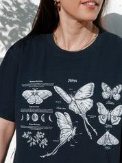 Night butterflies ® (Available 11/05)