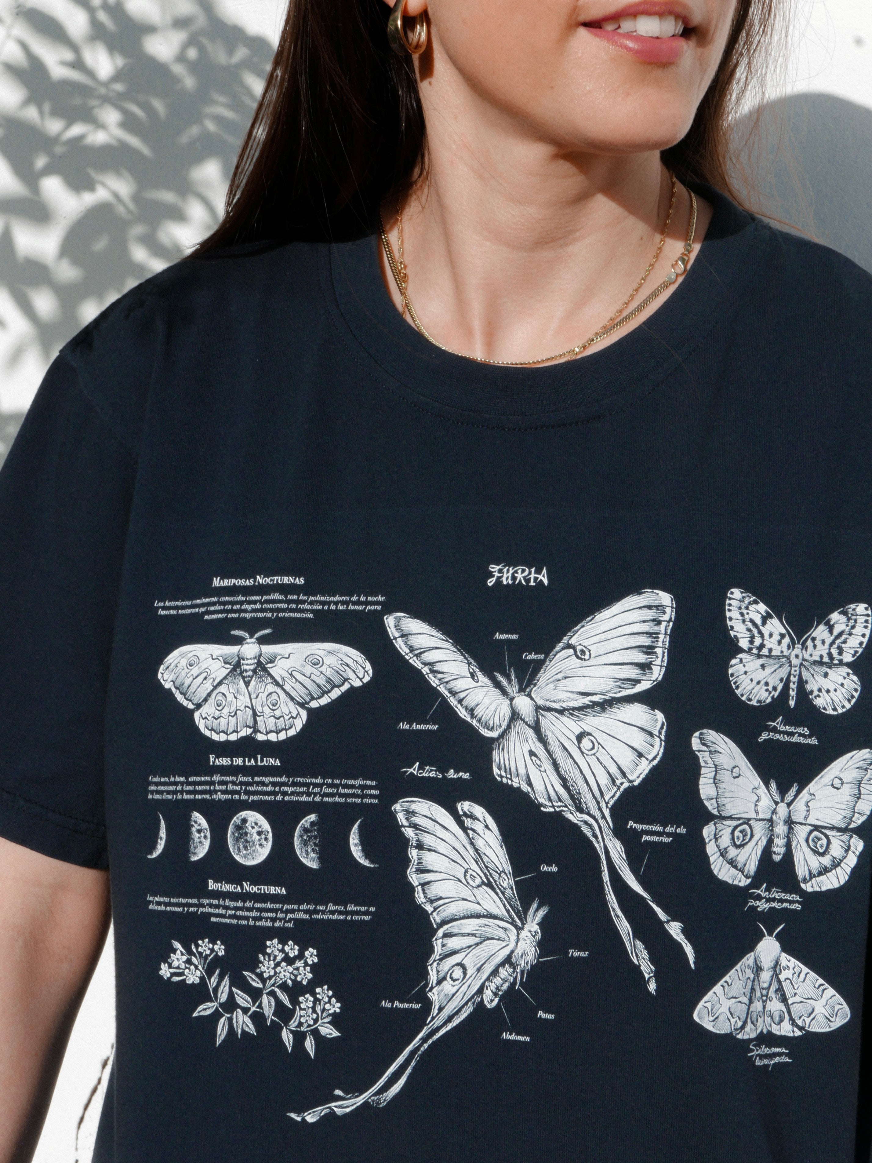 Night butterflies ® (Available 11/05)