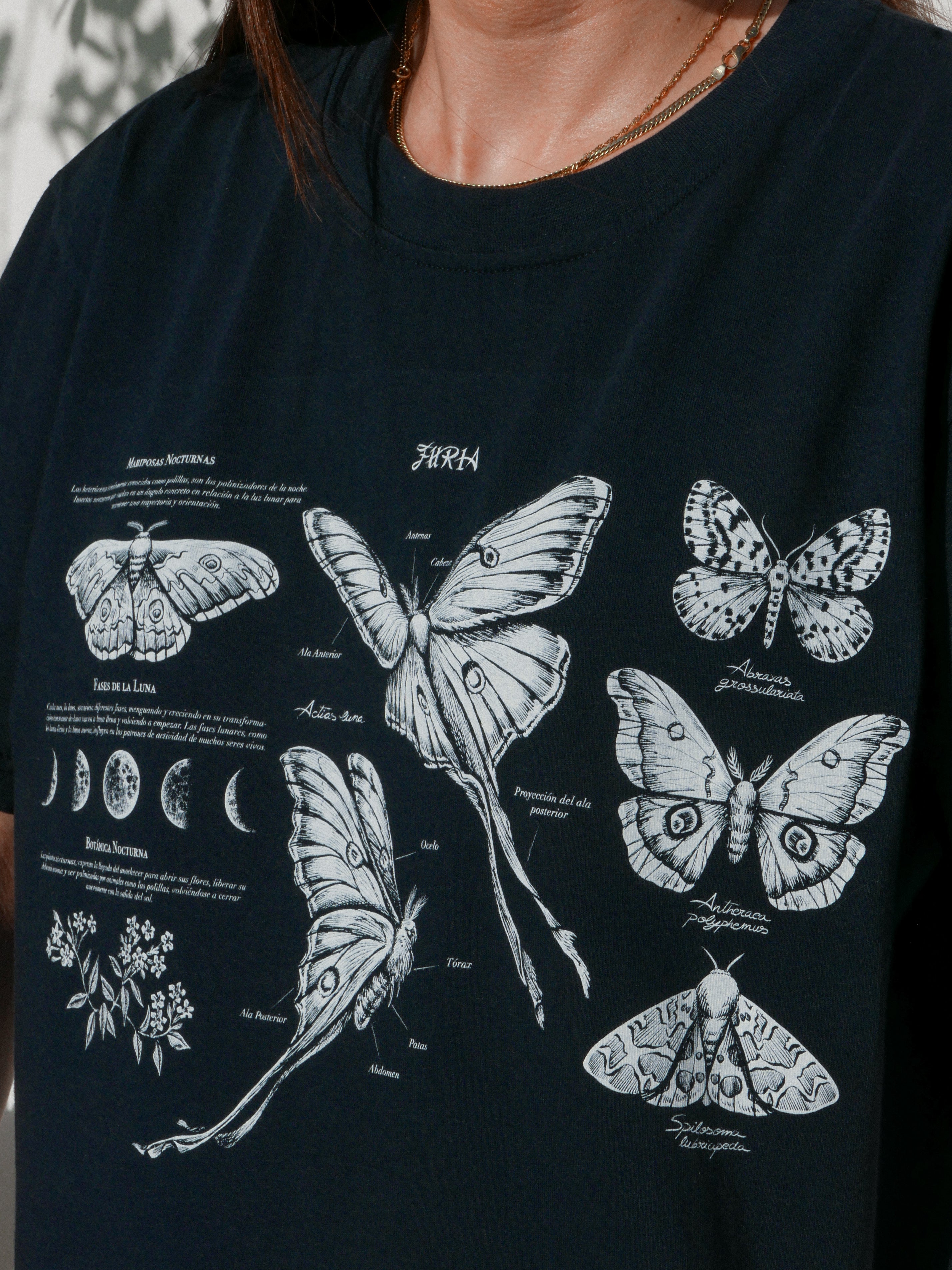 Night butterflies ® (Available 11/05)