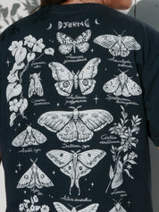 Night butterflies ® (Available 11/05)