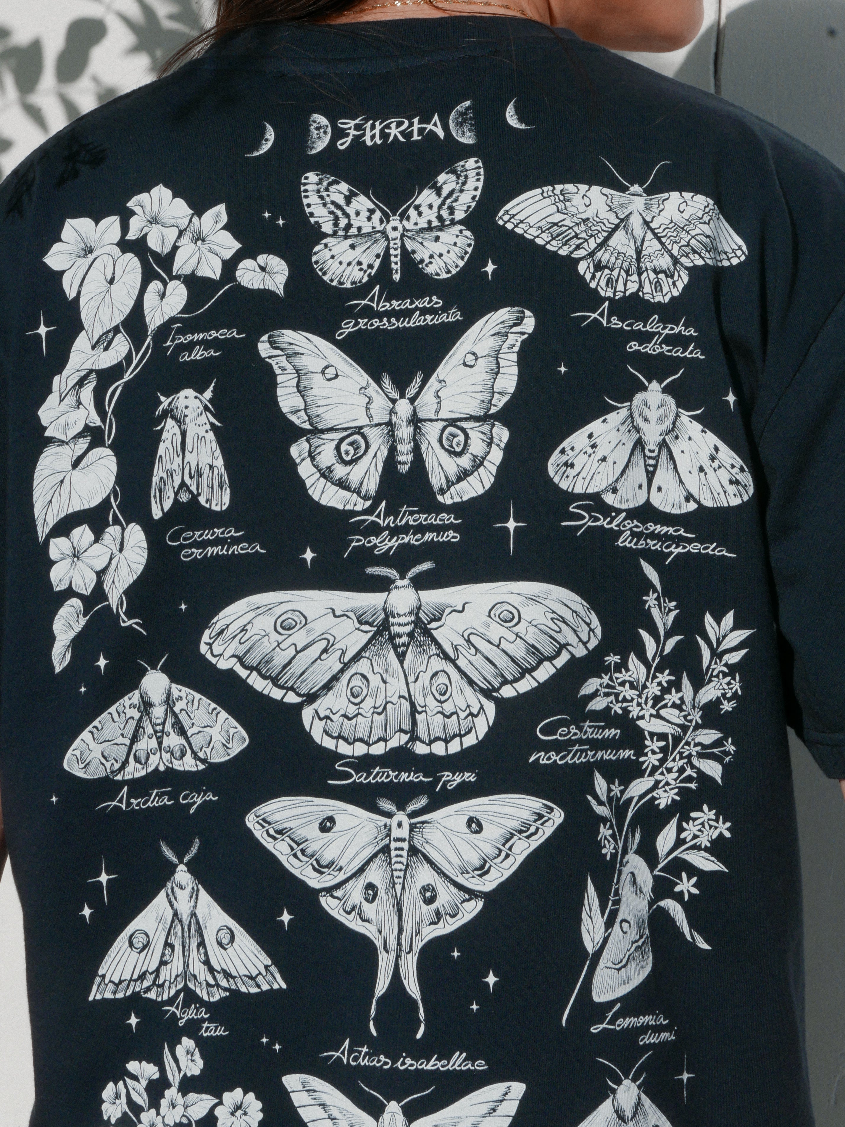 Night butterflies ® (Available 11/05)