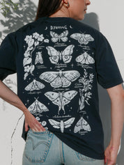 Night butterflies ® (Available 11/05)