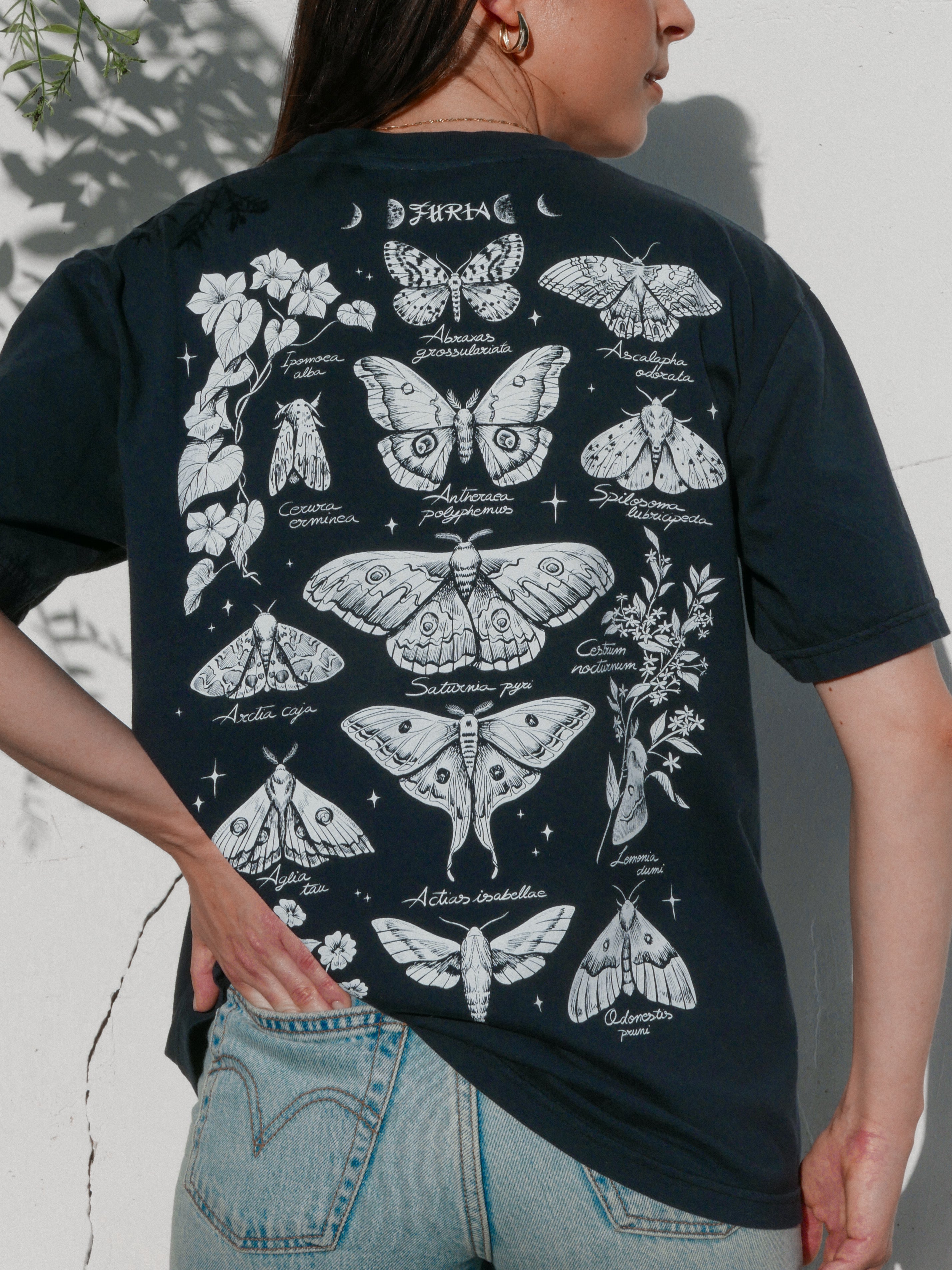Night butterflies ® (Available 11/05)