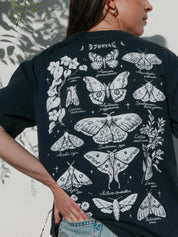 Night butterflies ® (Available 11/05)