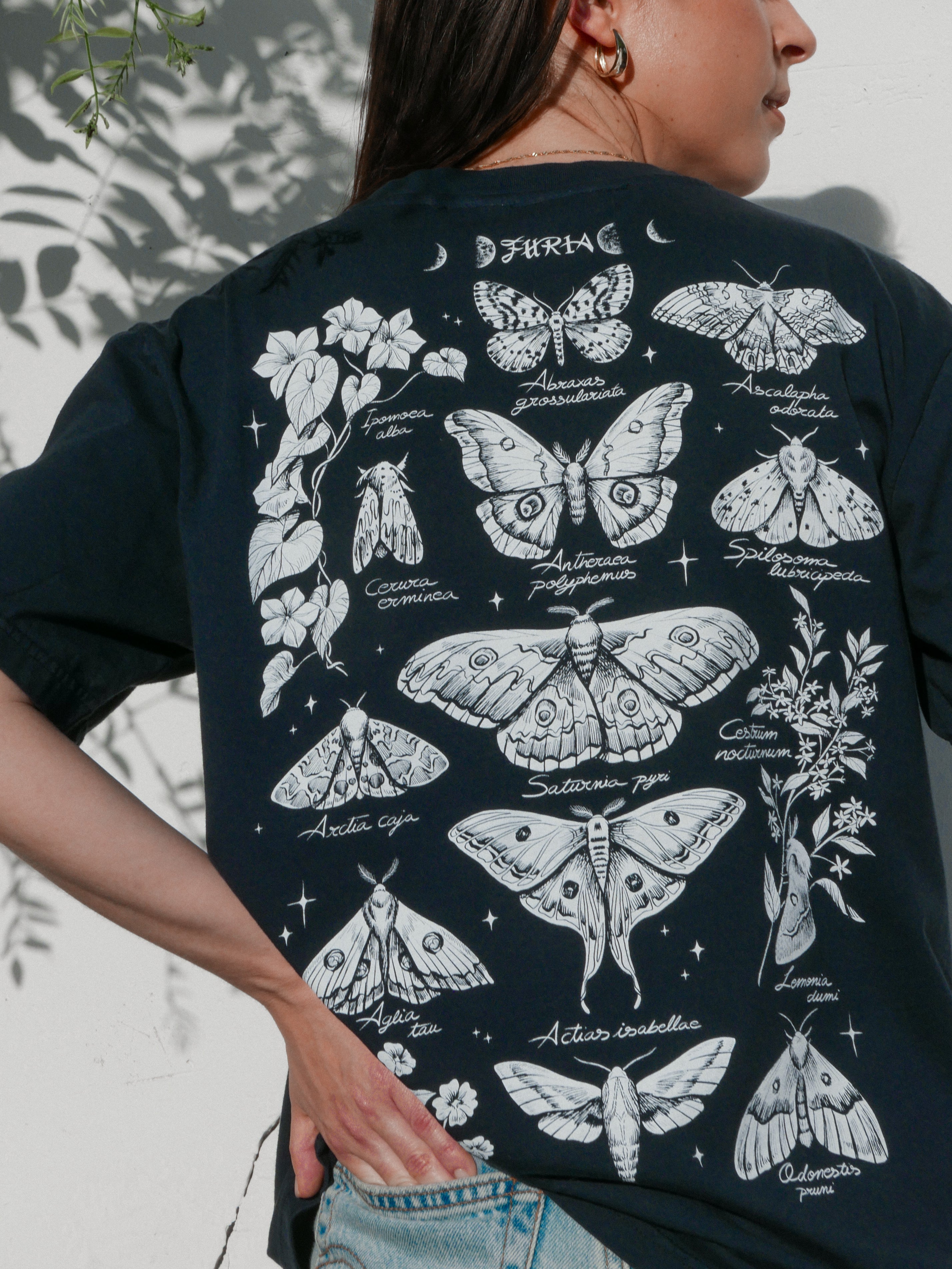 Night butterflies ® (Available 11/05)