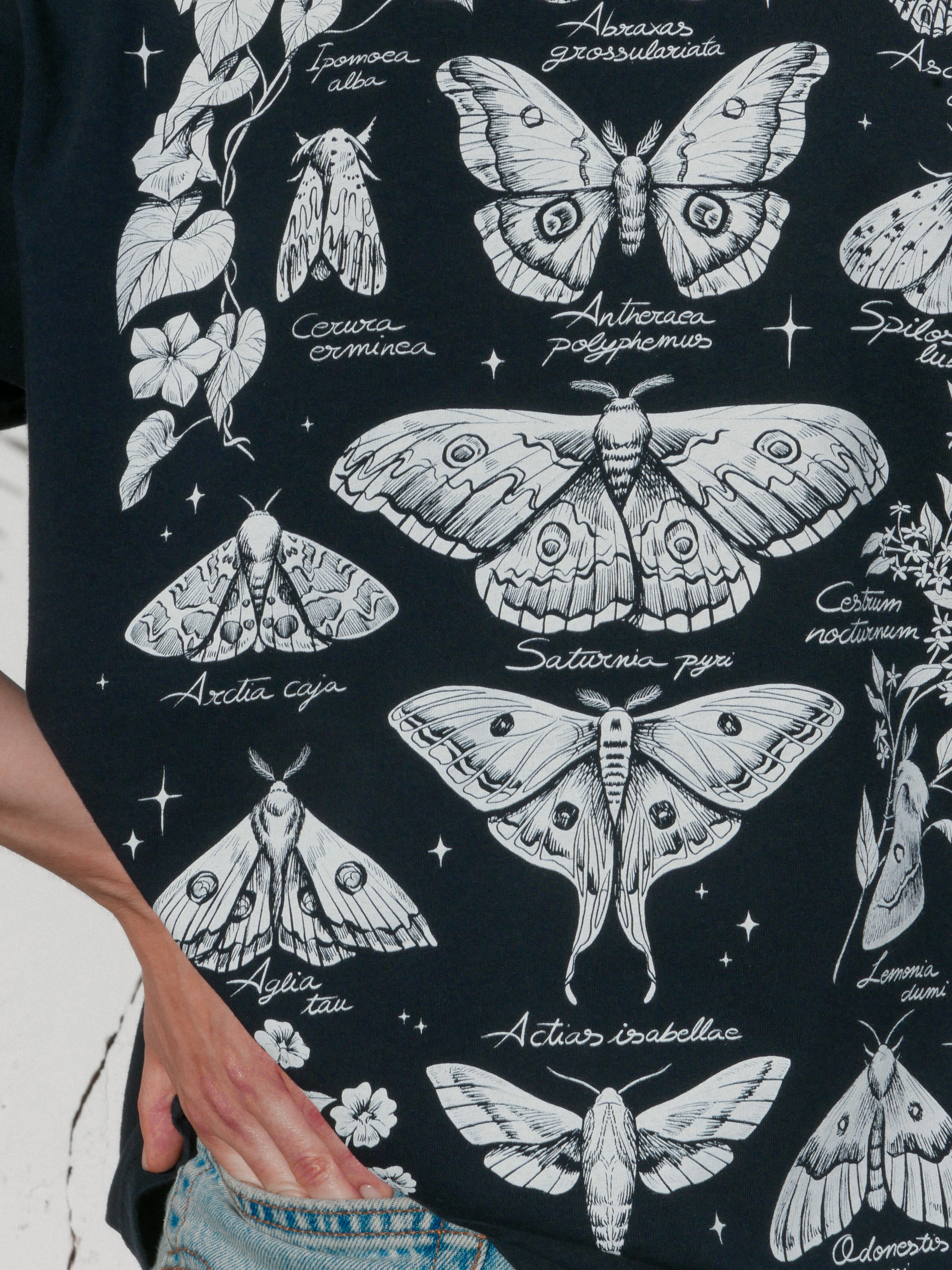 Night butterflies ® (Available 11/05)