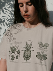 Entomología ® (Disponible 11/05)