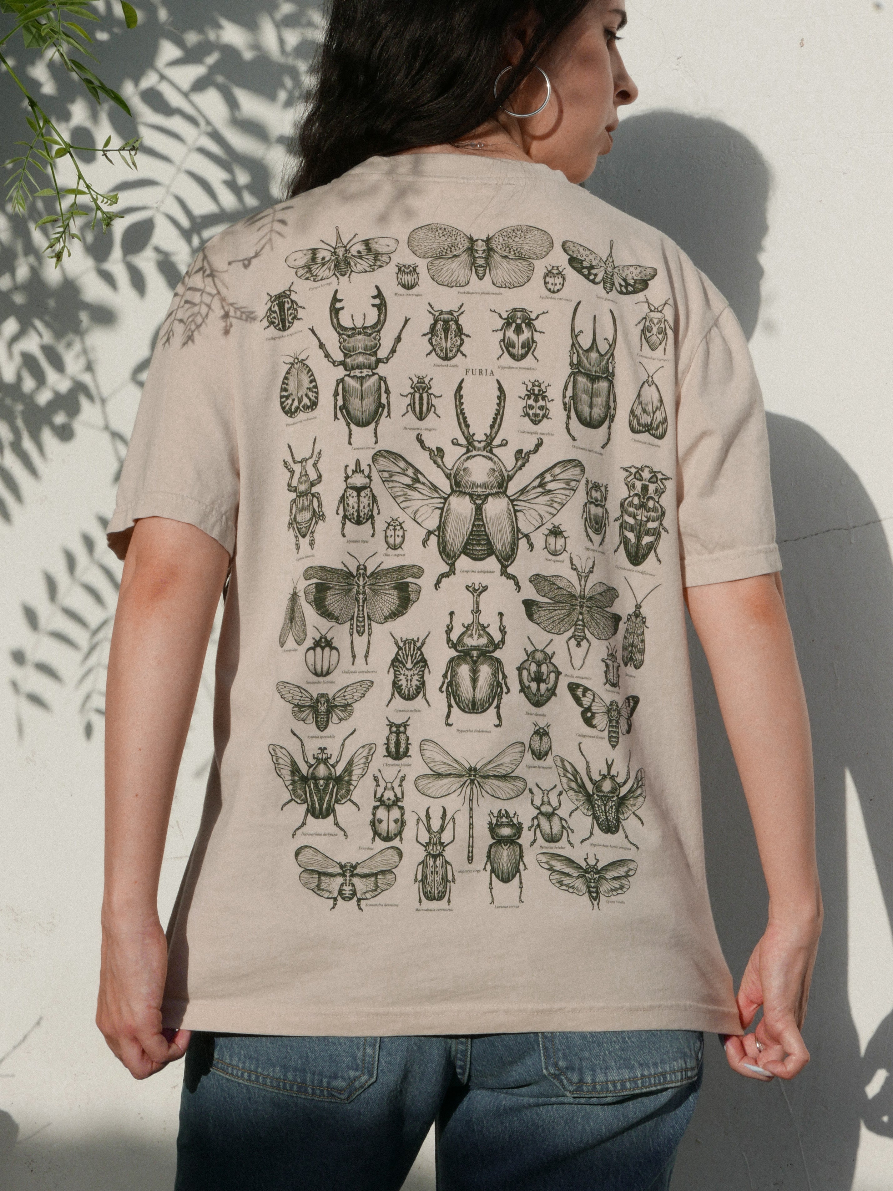 Entomología ® (Disponible 11/05)