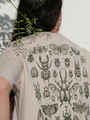 Entomología ® (Disponible 11/05)