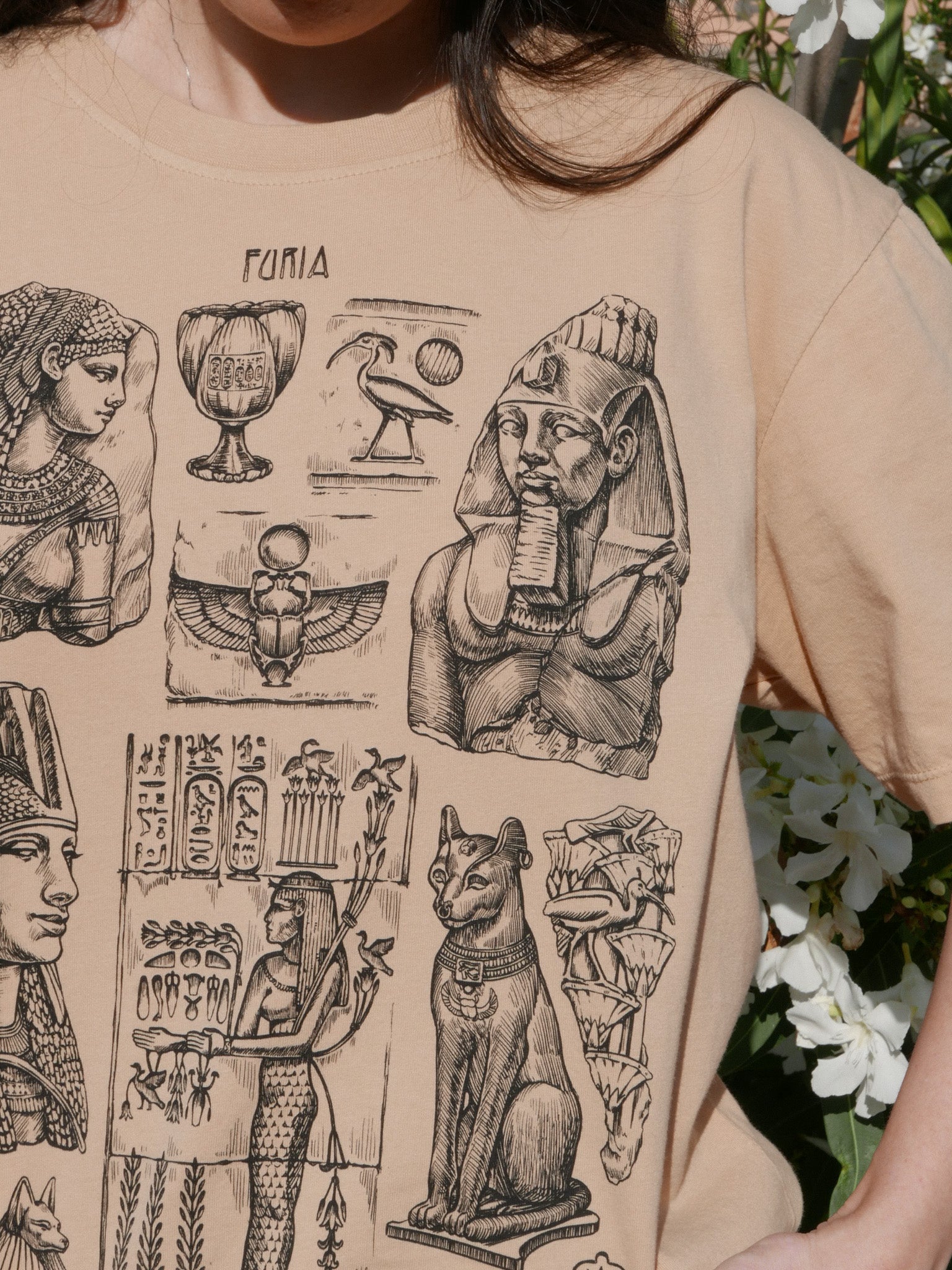 Egyptian Archaeology® (Available June 14)