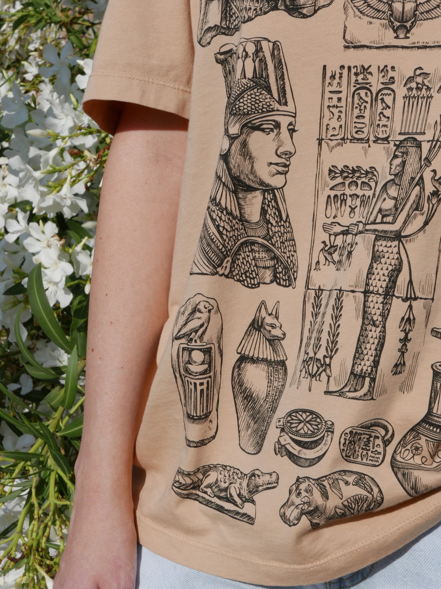 Egyptian Archaeology® (Available June 14)