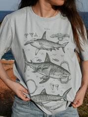 Tiburones ®