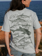 Tiburones ®