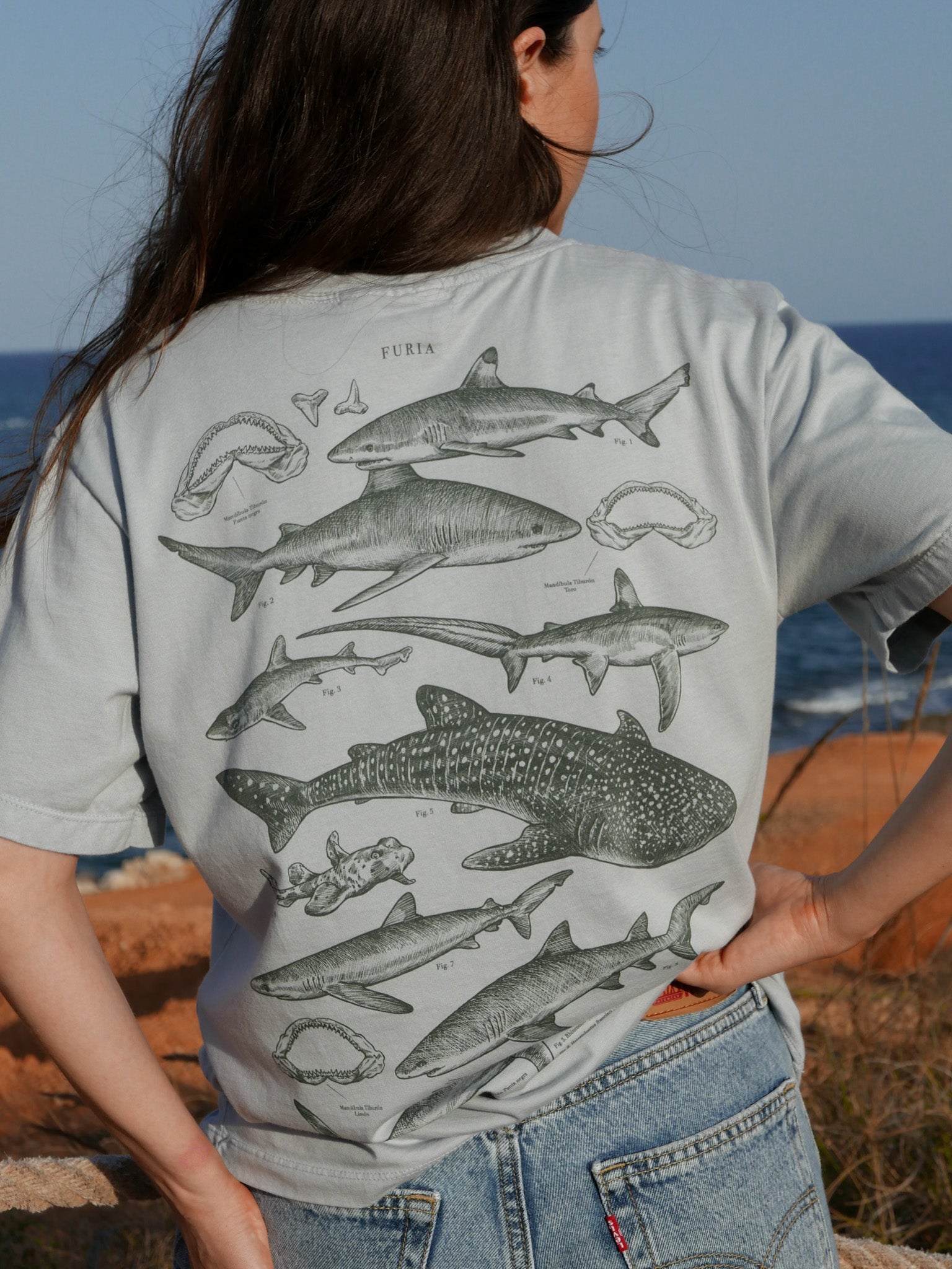 Tiburones ®