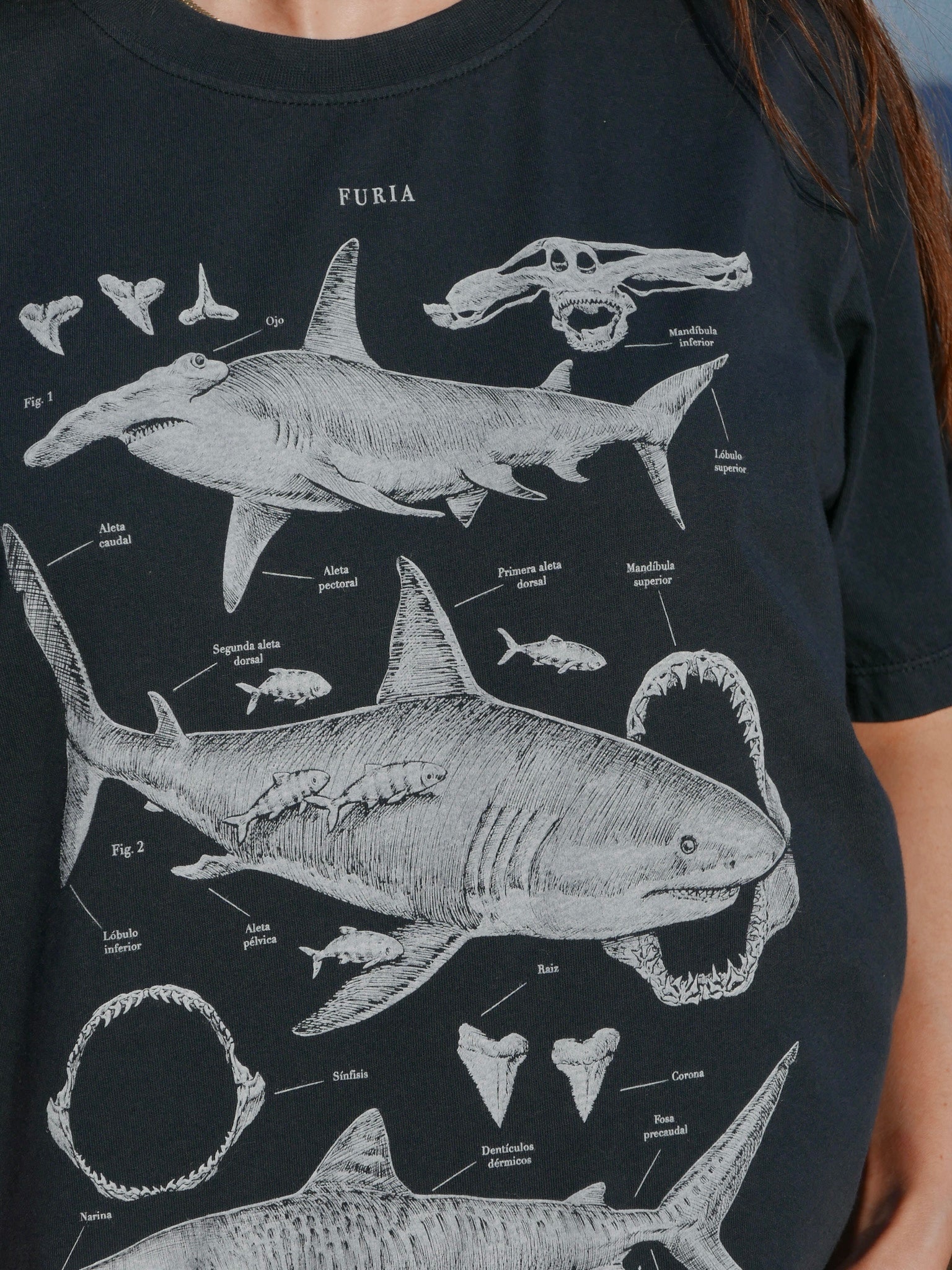 Deep Oceans ®