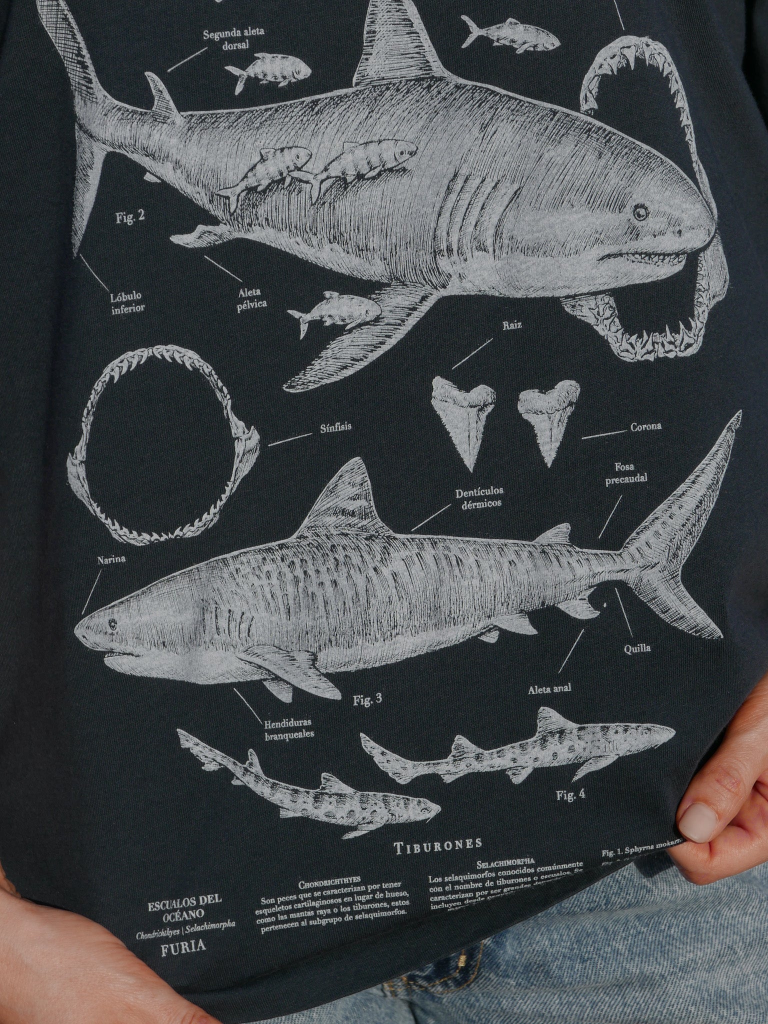 Deep Oceans ®