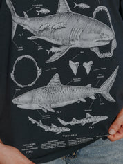 Deep Oceans ®