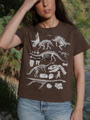 Paleontología ®