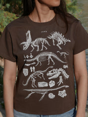 Paleontología ®