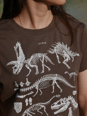 Paleontología ®