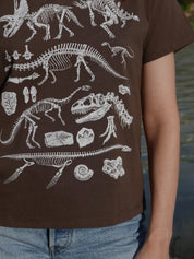 Paleontología ®
