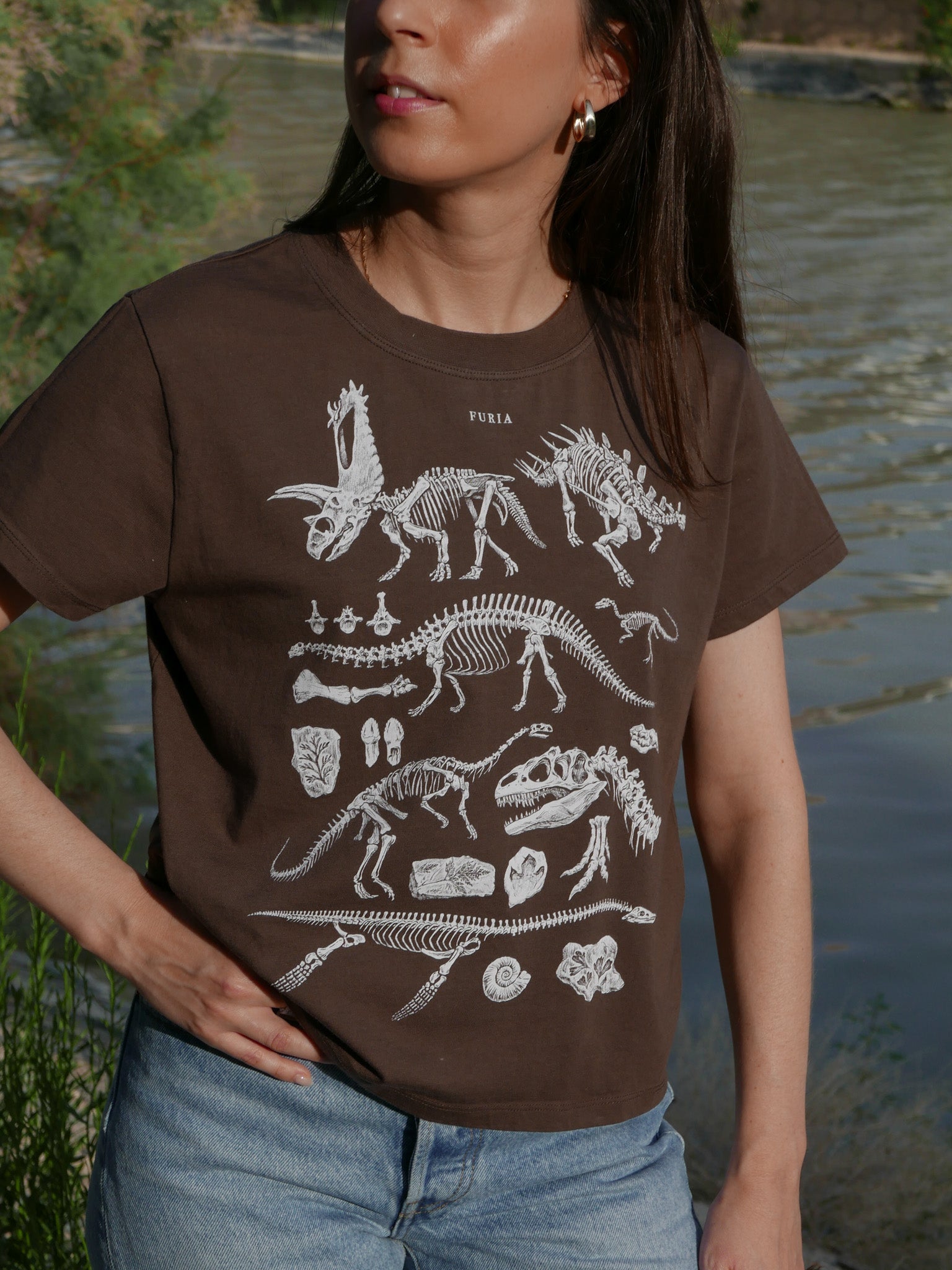 Paleontología ®