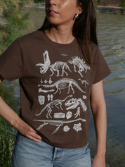 Paleontología ®