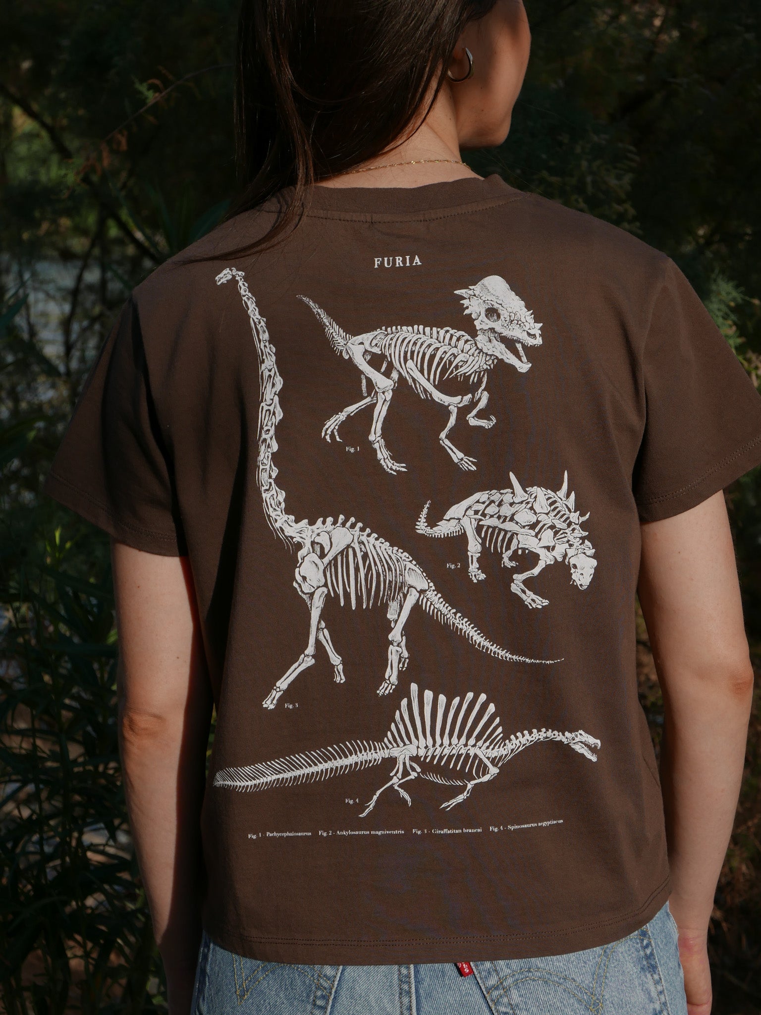 Paleontología ®