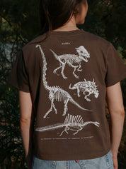 Paleontología ®