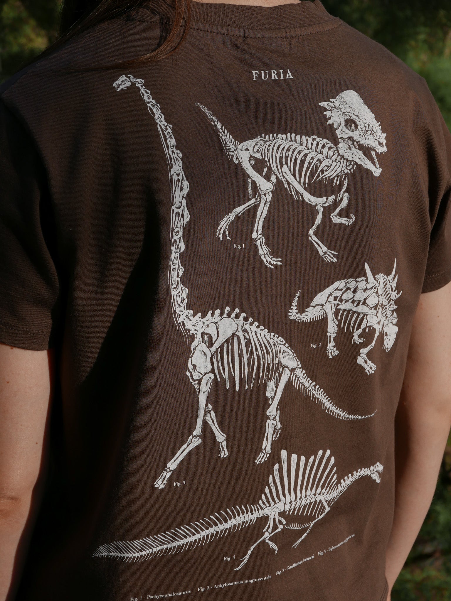 Paleontología ®